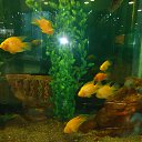 ���� �������, ������ - ��������� 8 ����� 2014