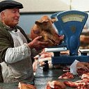 ���� ����, ������-��-����, 48 ��� - ��������� 12 ������� 2013 � ������ ���� ����������