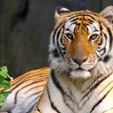 ���� �������, �����-���������, 54 ���� - ��������� 2 ������� 2014 � ������ ���� ����������