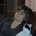 ���� �����, �����, 43 ���� - ��������� 22 ������� 2013 � ������ ���� ����������