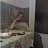 ���� �������, ������ �����, 53 ���� - ��������� 22 ������� 2013