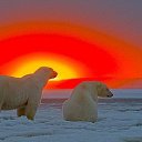 ���� Irmin, ������� - ��������� 18 ������� 2014 � ������ ������ ��������