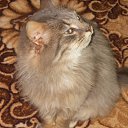 ��� ������ ��������� � ��������. ������� �����...������� �� �������. �� ������� ���� ���� � ������ ��������