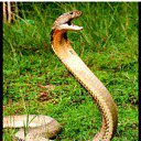 ���� ����*, ���� - ��������� 27 �������� 2013 � ������ ���� ����������