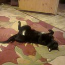 ���� ������, ������� ��������, 59 ��� - ��������� 13 ������� 2014 � ������ ���� ����������