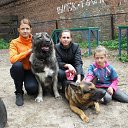 ���� ������ ����, ���������, 31 ��� - ��������� 8 ������ 2014 � ������ ���� ����������