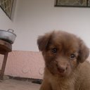 ���� Aleks, ����� ������� - ��������� 11 ������ 2013 � ������ ��������� �������.�