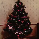 ���� ������ �� ������� ���� ����������