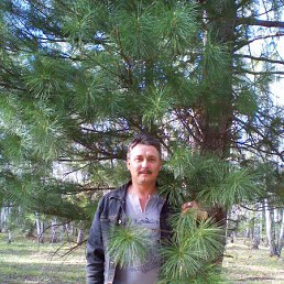 �������, �����������, 52 ����