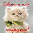 ���� Pavel, ������������, 72 ���� - ��������� 21 ������ 2014