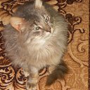 ��! ������! ������! �� ������� ���� ���� � ������ ��������