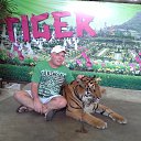 ���� ����, ������, 61 ��� - ��������� 3 �������� 2013 � ������ ���� ����������