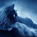  []__[],  -  23  2013    