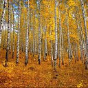 ���� �����, ��������� - ��������� 14 ������� 2013 � ������ ���� ����������