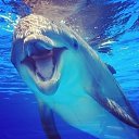 ���� �����, ����, 42 ���� - ��������� 30 ������ 2013 � ������ ������ ��������