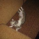 ���� �����, ������� - ��������� 3 ����� 2014 � ������ ���� ����������