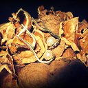 ���� Nata Li Legata, ��������� - ��������� 8 ������� 2013 � ������ ������.�