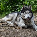 ���� ������, �������, 52 ���� - ��������� 30 ������ 2014 � ������ ��������