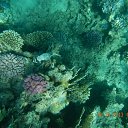 ���� ���������, ����������, 42 ���� - ��������� 28 ������� 2013 � ������ ������ 2013�