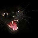 ���� ������, �������� - ��������� 12 ������� 2013 � ������ ���� ����������