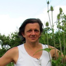 ��������, ����, 65 ���