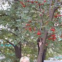 ���� ��������, ���������, 48 ��� - ��������� 17 ������� 2013 � ������ ���� ����������