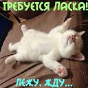 ���� �����, ������, 46 ��� - ��������� 12 ������ 2013 � ������ ���� ����������