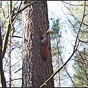 ���� ��������, �������, 74 ���� - ��������� 10 ����� 2014