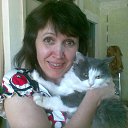 ���� ����, ������, 76 ��� - ��������� 20 ������ 2014 � ������ ���� ����������