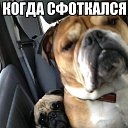 ���� ���, ������ - ��������� 18 ������� 2013 � ������ ���������