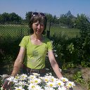 ���� ������, ���������, 59 ��� - ��������� 7 ������ 2014 � ������ ���� ����������