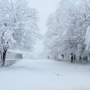���� ����, ��������, 49 ��� - ��������� 2 ������� 2014 � ������ ������ ��������