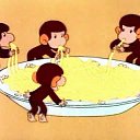 ���� ˸��, ��������������, 34 ���� - ��������� 3 ������� 2013 � ������ ���� ����������