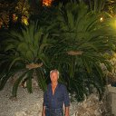 �����- ����� �� ������� ���� ����������