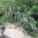 ���� ������, ���������, 51 ��� - ��������� 23 ������� 2013 � ������ ���� ����������