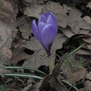 ���� �����, ������, 67 ��� - ��������� 21 ������� 2013 � ������ ���� ����������