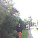 ������ �� ������� ���� ����������