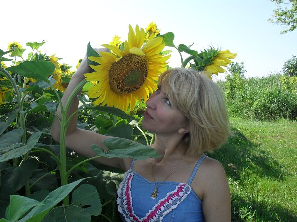  :    ....))) - , 53 , 