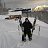 ���� ��������, ����, 46 ��� - ��������� 26 ������ 2014