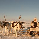 ���� ������, ������, 54 ���� - ��������� 7 ������� 2013