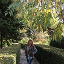 ���� �������, ����������, 66 ��� - ��������� 30 ������� 2013 � ������ ���� ����������