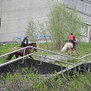 ���� ������, ��������, 65 ��� - ��������� 12 ������� 2013 � ������ ���� ����������