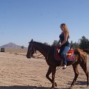 ���� ����, �����-���������, 48 ��� - ��������� 11 ������� 2014 � ������ ���� ����������