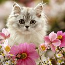 ���� ��������, ������� - ��������� 25 ������� 2013 � ������ ���� ����������