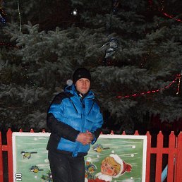 ���� �������, ������, 43 ���� - ��������� 19 ������� 2014