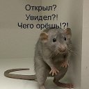 ���� ����� ������, �����������, 63 ���� - ��������� 29 ������� 2013 � ������ ���� ����������