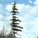 ���� ~ *���*~, ������ - ��������� 30 ������ 2013 � ������ ��������ܻ