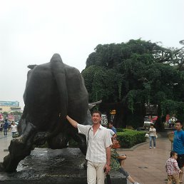 ���, �����������, 46 ���