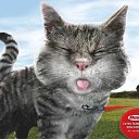 ���� �������, ���������, 47 ��� - ��������� 12 ������ 2014 � ������ ������ ������