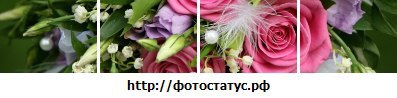 ���� Tatiana, �������, 53 ���� - ��������� 18 ������� 2013 � ������ ������ ��������